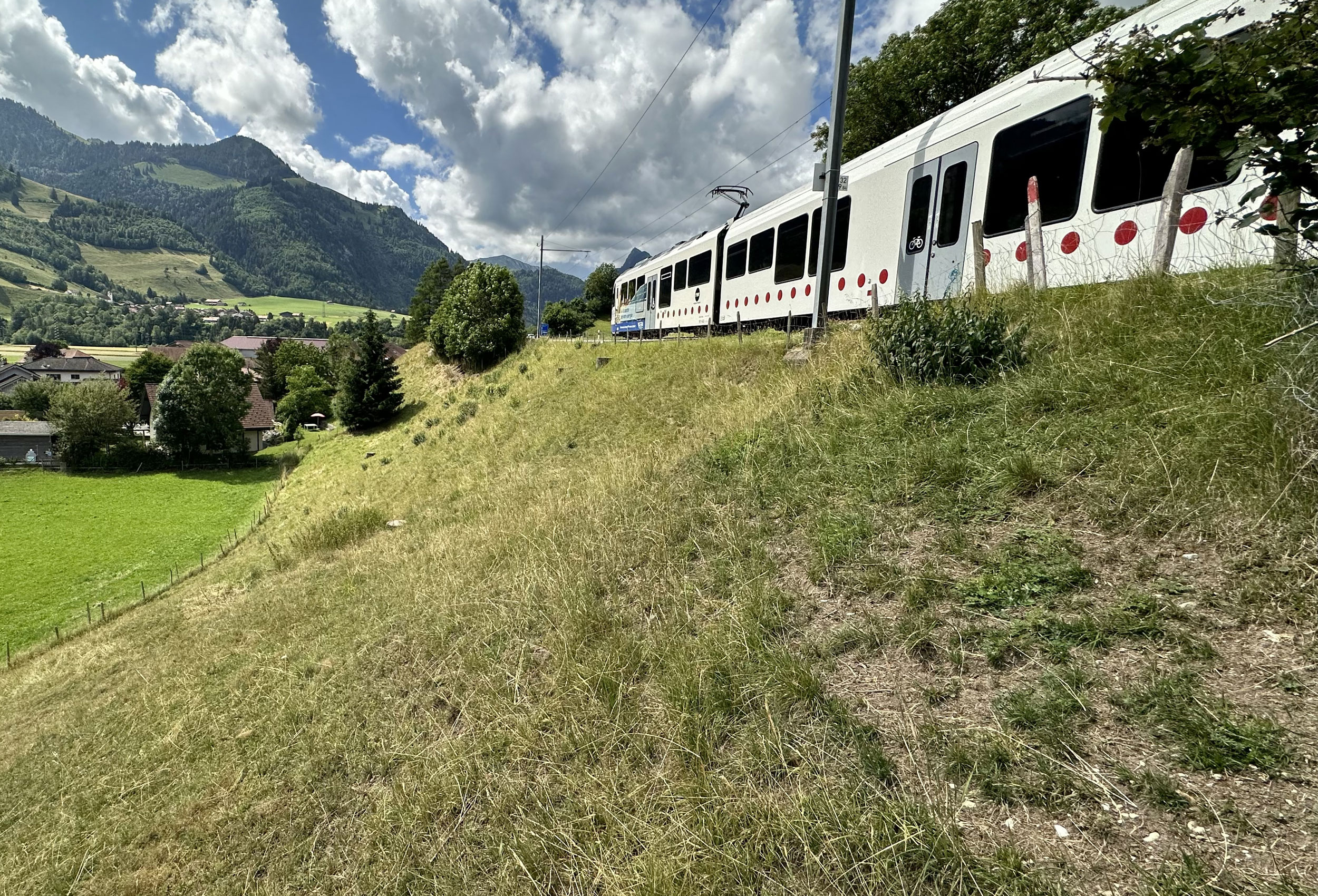 Detailed image of the project